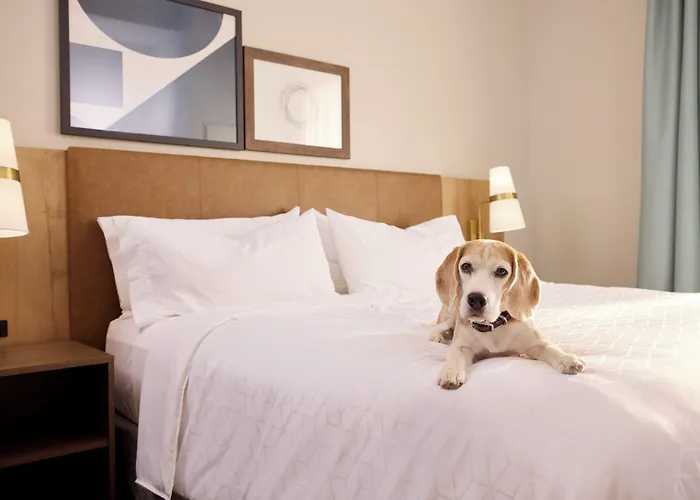 Staybridge Airport By Ihg 3* Tucson
